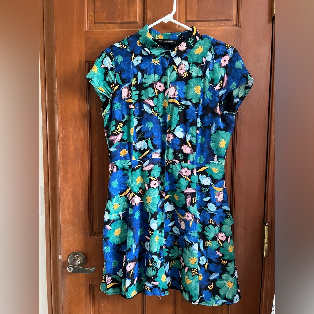 Zara M blue button down dress
